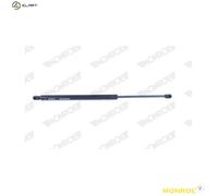MONROE ML5564 Bonnet strut