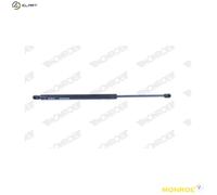 MONROE ML5564 Bonnet strut