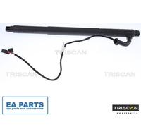 Gas Spring, boot-/cargo area for BMW E71 TRISCAN 8710 11301 fits Left