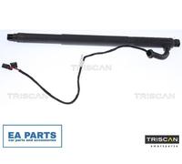 Gas Spring, boot-/cargo area for BMW E71 TRISCAN 8710 11301 fits Left NEW
