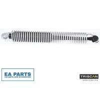 Gas Spring, boot/cargo area for BMW F10 TRISCAN 8710 112015