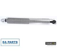 Gas Spring, boot/cargo area for BMW F10 TRISCAN 8710 112015 NEW