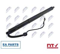 Gas Spring, boot/cargo area for BMW F15 NTY AE-BM-070 fits Left Rear NEW