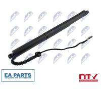 Gas Spring, boot/cargo area for BMW F15 NTY AE-BM-071 fits Right Rear NEW