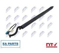 Gas Spring, boot/cargo area for BMW F15 NTY AE-BM-098 fits Left Rear