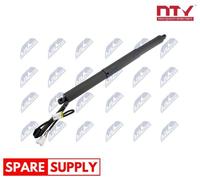 GAS SPRING, BOOT/CARGO AREA FOR BMW F15 NTY AE-BM-099 FITS RIGHT REAR