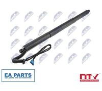 Gas Spring, boot/cargo area for BMW F25 NTY AE-BM-081 fits Right Rear