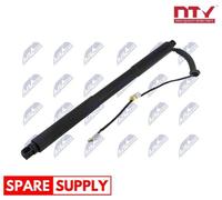 GAS SPRING, BOOT/CARGO AREA FOR BMW F31 NTY AE-BM-114 FITS RIGHT REAR