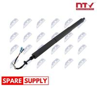 GAS SPRING, BOOT/CARGO AREA FOR BMW F39 NTY AE-BM-112 FITS BOTH SIDES