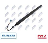 Gas Spring, boot/cargo area for BMW F39 NTY AE-BM-112 fits Both Sides NEW