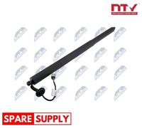 GAS SPRING, BOOT/CARGO AREA FOR FORD ESCAPE NTY AE-FR-065 FITS LEFT REAR