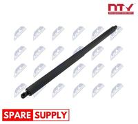 GAS SPRING, BOOT/CARGO AREA FOR FORD USA EXPLORER NTY AE-FR-068 FITS RIGHT REAR