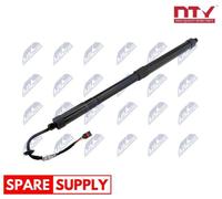 GAS SPRING, BOOT/CARGO AREA FOR HYUNDAI NTY AE-HY-049 FITS RIGHT REAR