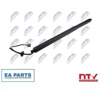 Gas Spring, boot/cargo area for JEEP GRAND CHEROKEE NTY AE-CH-049 NEW