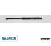 Gas Spring, boot-/cargo area for MERCEDES-BENZ R231 TRISCAN 8710 23244