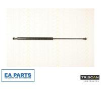 Gas Spring, boot-/cargo area for RENAULT LAGUNA TRISCAN 8710 25245