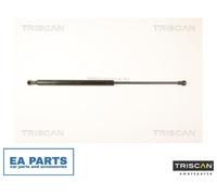 Gas Spring, boot-/cargo area for RENAULT LAGUNA TRISCAN 8710 25245 NEW