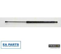 Gas Spring, boot-/cargo area for VW GOLF TRISCAN 8710 292019