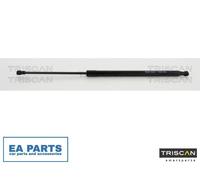 Gas Spring, boot-/cargo area for VW GOLF TRISCAN 8710 292019 NEW