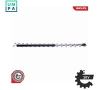 GAS SPRING BOOTCARGO AREA 52SKV389 FOR FORD IKON FIESTA/Van BAJA/A9JB 1.3L 4cyl