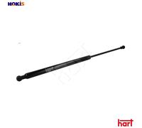 GAS SPRING BOOTCARGO AREA 807 255 FOR SEAT CORDOBA/VARIO/Van/Vario ASV/1Z 1.9L
