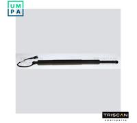 GAS SPRING BOOTCARGO AREA 8710 11377 FOR BMW 0.0L 0cyl 5 G31 B47D20B/A B48B20