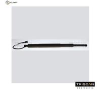 GAS SPRING BOOTCARGO AREA 8710 11377 FOR BMW 0.0L 0cyl 5 G31 B47D20B/A B48B20