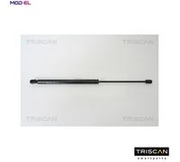 TRISCAN 8710 25232 Tailgate strut