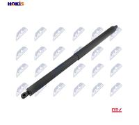 GAS SPRING BOOTCARGO AREA AE-CH-058 FORGAS SPRING BOOTCARGO AREA AE-CH-058 FOR C