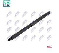 NTY AE-CH-080 Tailgate strut