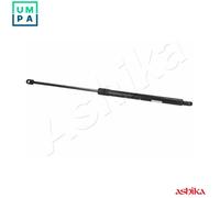 ASHIKA ZSA01001 Bonnet strut