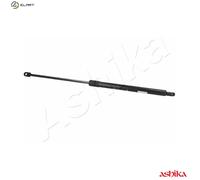 ASHIKA ZSA01001 Bonnet strut