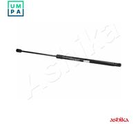 ASHIKA ZSA01032 Tailgate strut