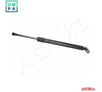 ASHIKA ZSA01072 Tailgate strut