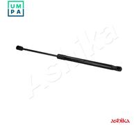 ASHIKA ZSA02038 Tailgate strut
