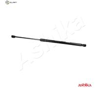 ASHIKA ZSA04027 Tailgate strut