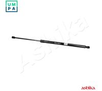 ASHIKA ZSA05013 Tailgate strut