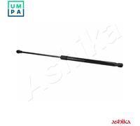 ASHIKA ZSA06093 Tailgate strut