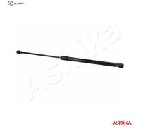 ASHIKA ZSA06093 Tailgate strut
