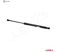 ASHIKA ZSA07061 Tailgate strut