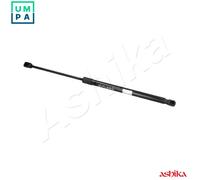 ASHIKA ZSA09000 Tailgate strut