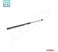 ASHIKA ZSA09148 Tailgate strut