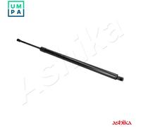 ASHIKA ZSA09168 Tailgate strut