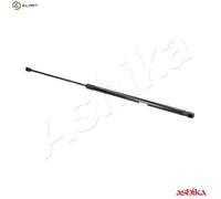 ASHIKA ZSA09189 Tailgate strut