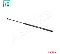 ASHIKA ZSA09189 Tailgate strut