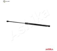 ASHIKA ZSA09202 Tailgate strut