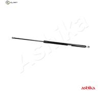 ASHIKA ZSA40015 Tailgate strut