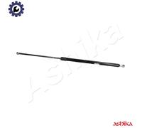 ASHIKA ZSA40015 Tailgate strut