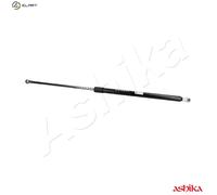ASHIKA ZSA50003 Tailgate strut