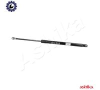 ASHIKA ZSA80000 Tailgate strut